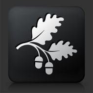Black Square Button with Acorn