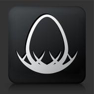 Black Square Button with Egg in Nest Icon