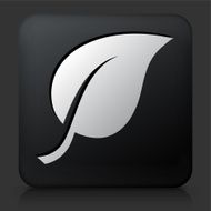 Black Square Button with One Leaf