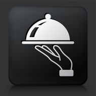 Black Square Button with Dish Icon N2