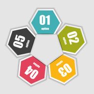 Infographic Templates for Business Vector Illustration N1305