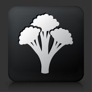 Black Square Button with Broccoli Icon