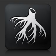 Black Square Button with Medical Root Icon