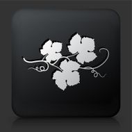 Black Square Button with Grape Leafs Icon