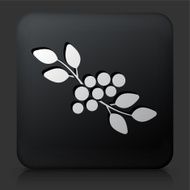 Black Square Button with Berries