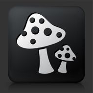 Black Square Button with Mushrooms Icon