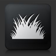 Black Square Button with Patch of Grass N2