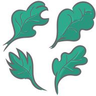 Set of leaves stylized nature icon or badge label