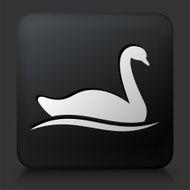 Black Square Button with Swan