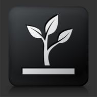 Black Square Button with Growing Plant N7