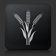 Black Square Button with Wheat Icon N2
