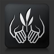 Black Square Button with Tea Plant Icon