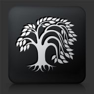 Black Square Button with Tree Icon N26