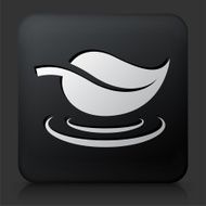 Black Square Button with Leaf Icon N16