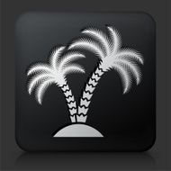 Black Square Button with Palm Tree Icon N16
