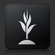 Black Square Button with Palm Tree Icon N17