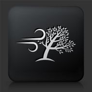 Black Square Button with Tree Wind Icon