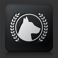 Black Square Button with Award Winner Dog