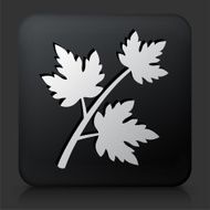 Black Square Button with Branch &amp; Leaves