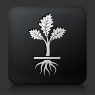 Black Square Button with Growing Plant N9