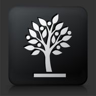 Black Square Button with Growing tree Icon N5