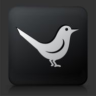 Black Square Button with Bird Icon N11