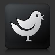 Black Square Button with Bird Icon N12