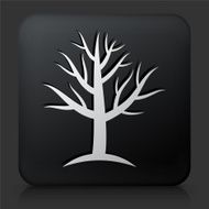 Black Square Button with Tree Icon N30