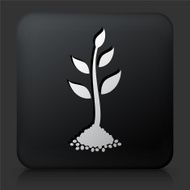 Black Square Button with Tree Icon N31