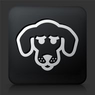 Black Square Button with Beagle