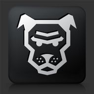 Black Square Button with Angry Dog