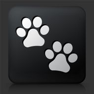 Black Square Button with Paw Prints