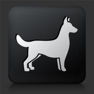 Black Square Button with Dog N2