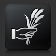 Black Square Button with Hand Holding Grain