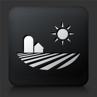Black Square Button with Fields