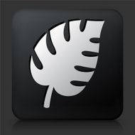 Black Square Button with Plant Leave