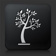 Black Square Button with Tree Icon N32