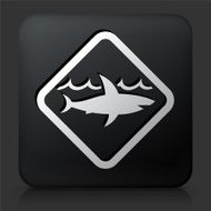 Black Square Button with Shark Warning Sign