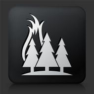 Black Square Button with Forest Fire Icon
