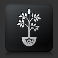 Black Square Button with Plants Icon N3