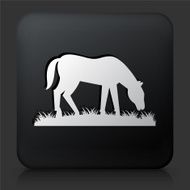 Black Square Button with Horse Icon N3