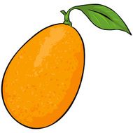 Vector Cartoon Kumquat