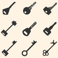 Vector Set of Keys Icons N22