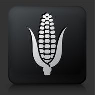 Black Square Button with Corn Icon