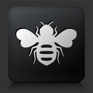 Black Square Button with Honey Bees Icon N2