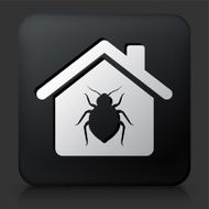 Black Square Button with Bedbugs at Home