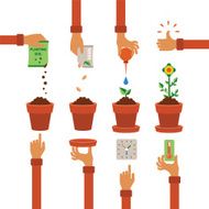 Vector timeline infographic concept of planting process N2