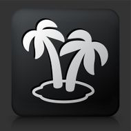 Black Square Button withTwo Palms Icon