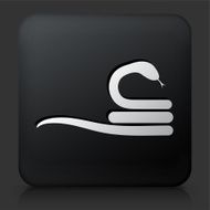 Black Square Button with Curled Up Snake Icon