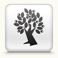 White Square Button with Olive Tree